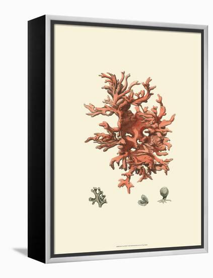 Red Coral III-null-Framed Stretched Canvas