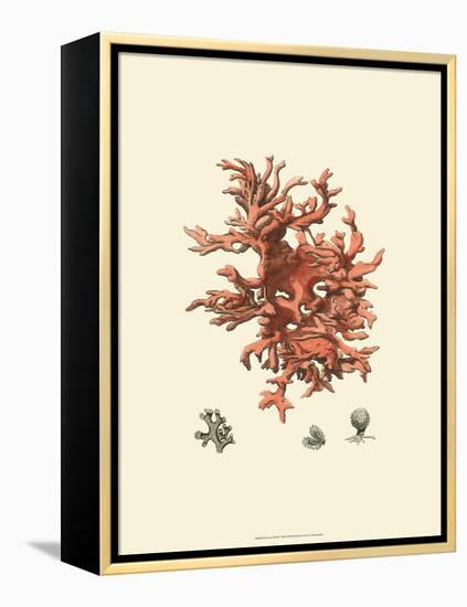 Red Coral III-null-Framed Stretched Canvas