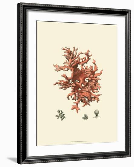 Red Coral III-null-Framed Art Print