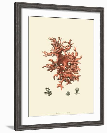 Red Coral III-null-Framed Art Print