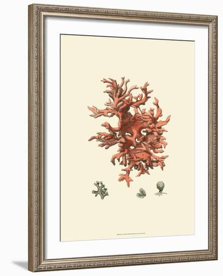 Red Coral III-null-Framed Art Print