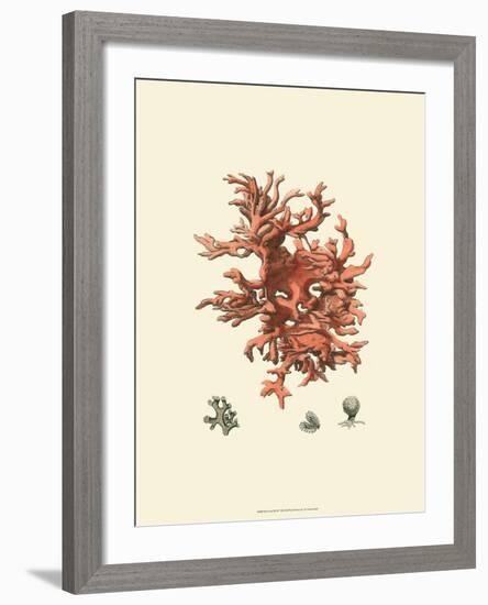 Red Coral III-null-Framed Art Print