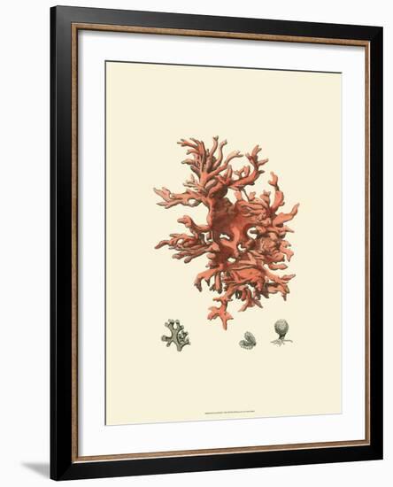 Red Coral III-null-Framed Art Print