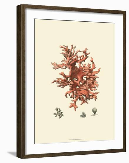 Red Coral III-null-Framed Art Print