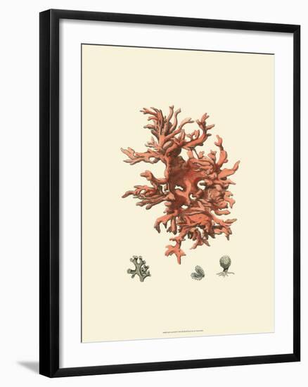 Red Coral III-null-Framed Art Print
