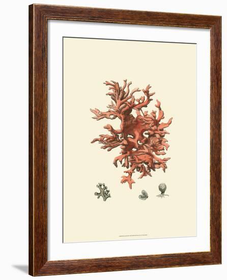 Red Coral III-null-Framed Art Print