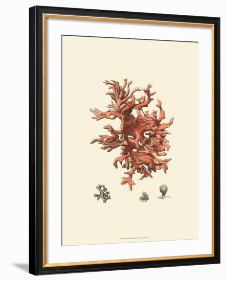 Red Coral III-null-Framed Art Print