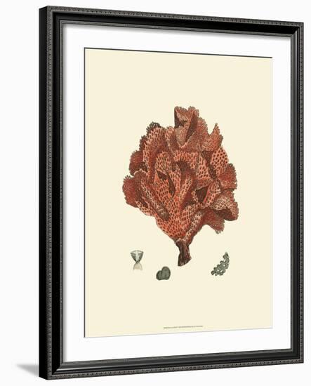 Red Coral IV-null-Framed Art Print