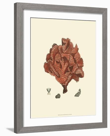 Red Coral IV-null-Framed Art Print