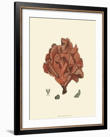 Red Coral IV-null-Framed Art Print