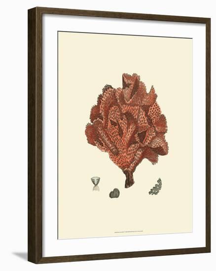 Red Coral IV--Framed Art Print