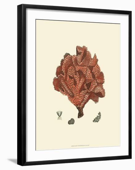 Red Coral IV-null-Framed Art Print