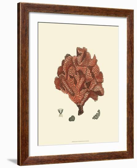Red Coral IV--Framed Art Print