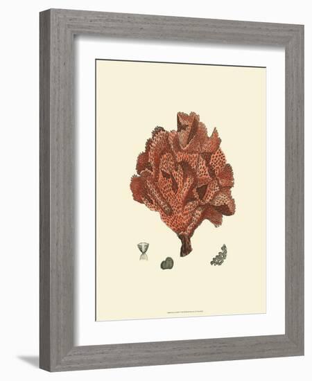 Red Coral IV-null-Framed Art Print