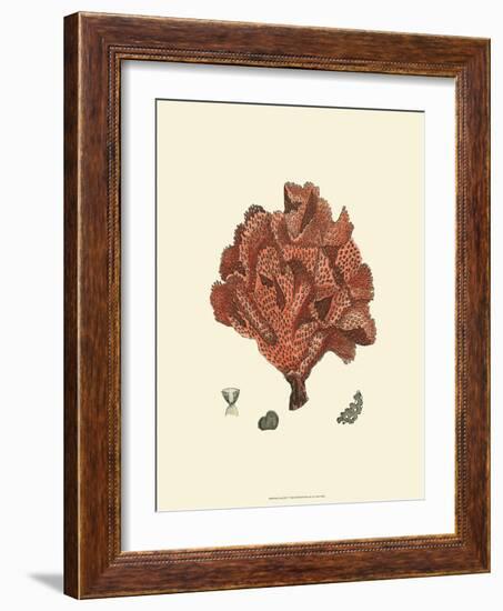 Red Coral IV-null-Framed Art Print