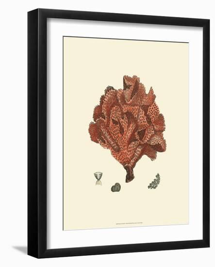 Red Coral IV-null-Framed Art Print
