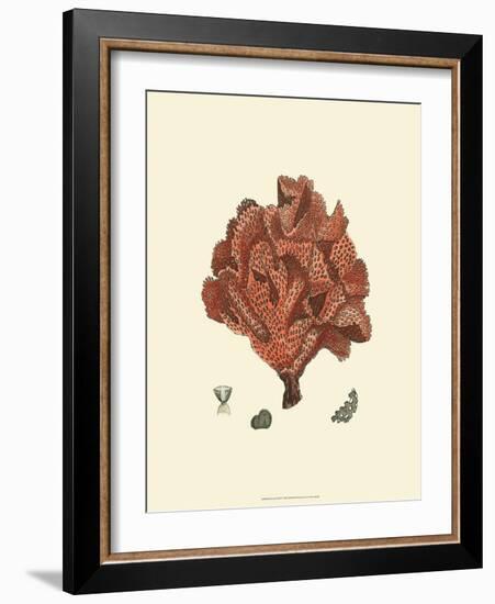 Red Coral IV-null-Framed Art Print