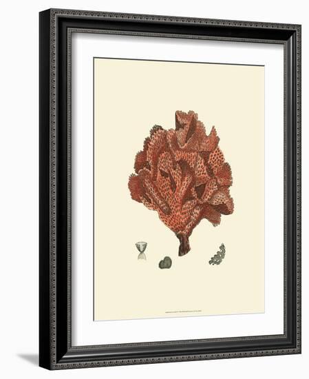 Red Coral IV-null-Framed Art Print