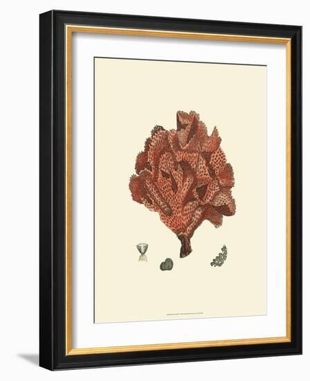 Red Coral IV-null-Framed Art Print