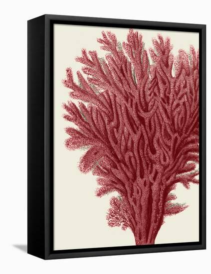 Red Corals 2 a-Fab Funky-Framed Stretched Canvas