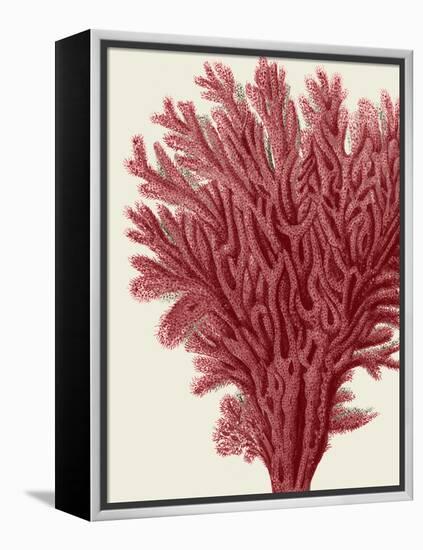 Red Corals 2 a-Fab Funky-Framed Stretched Canvas