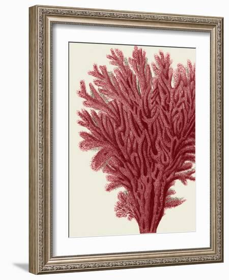 Red Corals 2 a-Fab Funky-Framed Art Print