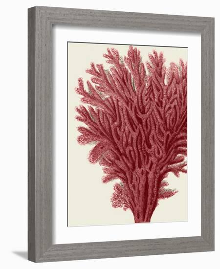 Red Corals 2 a-Fab Funky-Framed Art Print