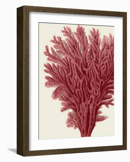 Red Corals 2 a-Fab Funky-Framed Art Print