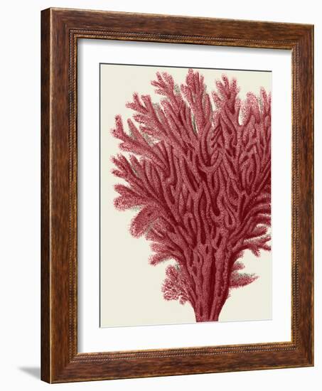 Red Corals 2 a-Fab Funky-Framed Art Print