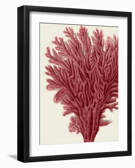 Red Corals 2 a-Fab Funky-Framed Art Print