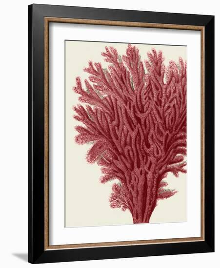 Red Corals 2 a-Fab Funky-Framed Art Print