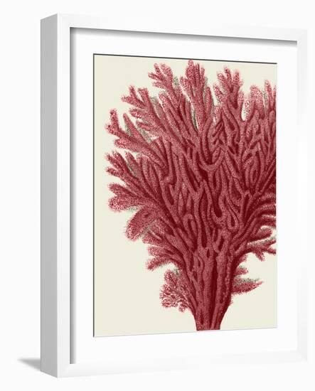 Red Corals 2 a-Fab Funky-Framed Art Print