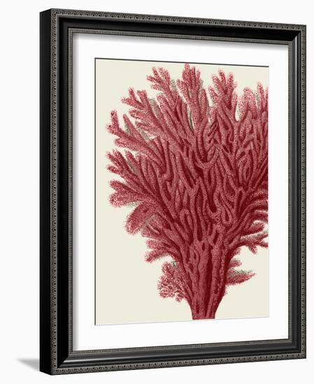 Red Corals 2 a-Fab Funky-Framed Art Print