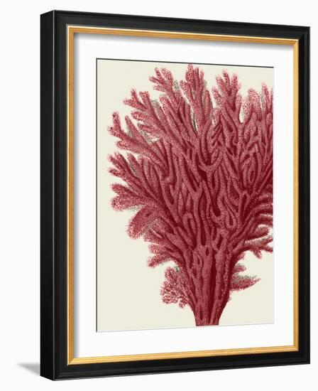 Red Corals 2 a-Fab Funky-Framed Art Print