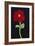 Red Cosmos-Soraya Chemaly-Framed Giclee Print