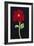 Red Cosmos-Soraya Chemaly-Framed Giclee Print