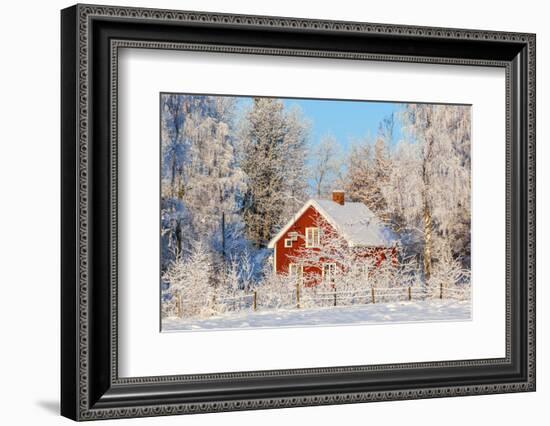 Red Cottage in Winter Forest with Frost and Snow-TTphoto-Framed Photographic Print