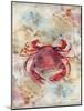 Red Crab-LuAnn Roberto-Mounted Art Print