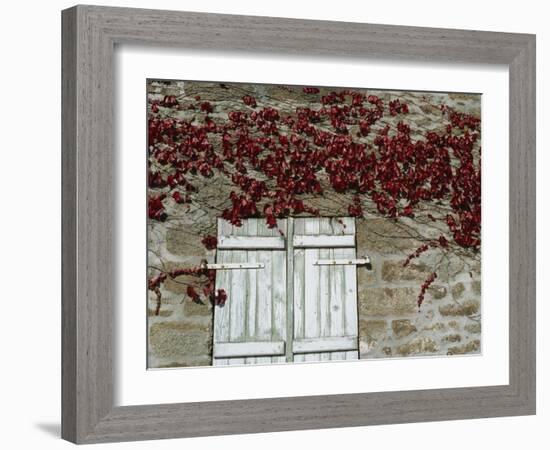 Red Creeper around Shutters on a Stone House in the Rhone Alpes in France, Europe-Michael Busselle-Framed Photographic Print