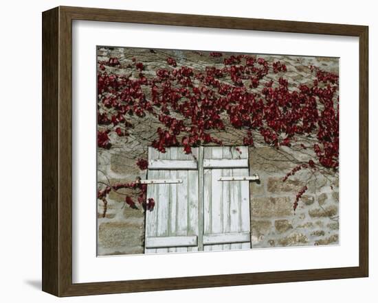 Red Creeper around Shutters on a Stone House in the Rhone Alpes in France, Europe-Michael Busselle-Framed Photographic Print