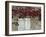 Red Creeper around Shutters on a Stone House in the Rhone Alpes in France, Europe-Michael Busselle-Framed Photographic Print