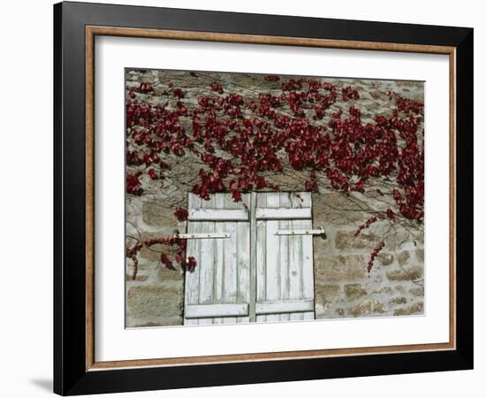 Red Creeper around Shutters on a Stone House in the Rhone Alpes in France, Europe-Michael Busselle-Framed Photographic Print