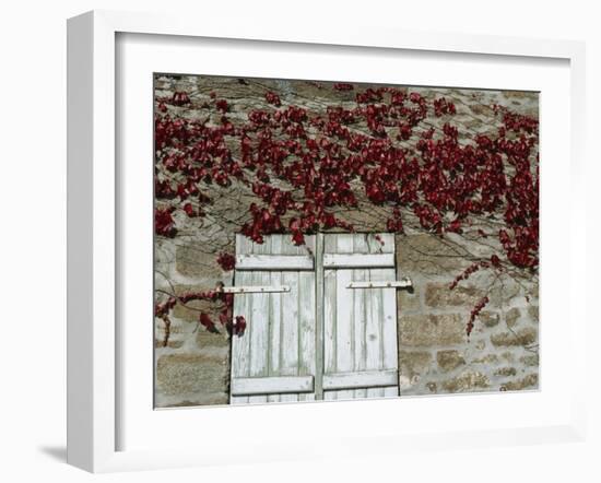 Red Creeper around Shutters on a Stone House in the Rhone Alpes in France, Europe-Michael Busselle-Framed Photographic Print