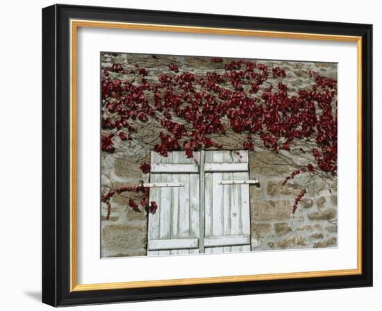 Red Creeper around Shutters on a Stone House in the Rhone Alpes in France, Europe-Michael Busselle-Framed Photographic Print