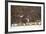 Red Crowned Cranes in Snow Hokkaido Japan-Peter Adams-Framed Photographic Print