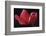 Red Cyclamen Abstract-Anna Miller-Framed Photographic Print