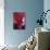 Red Cyclamen Abstract-Anna Miller-Photographic Print displayed on a wall