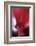 Red Cyclamen Abstract-Anna Miller-Framed Photographic Print