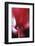 Red Cyclamen Abstract-Anna Miller-Framed Photographic Print