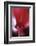 Red Cyclamen Abstract-Anna Miller-Framed Photographic Print